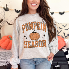 Load image into Gallery viewer, Pumpkin Season
