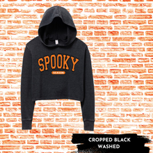 Load image into Gallery viewer, Spooky Season Hoodies
