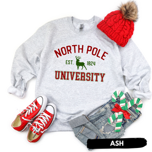 North Pole Reindeer University