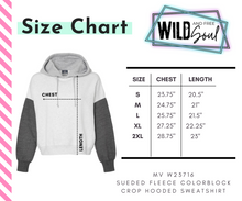 Load image into Gallery viewer, FLY (Distressed) Crop Color Block Hoodie
